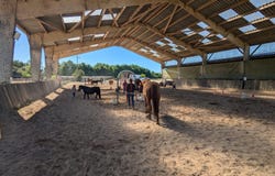 Lamotte-Beuvron, Centre 41600