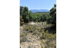 Llauro, Languedoc-Roussillon 66300