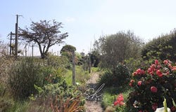 Guimaëc, Brittany 29620