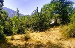 Clara Villerach, Languedoc-Roussillon 66500