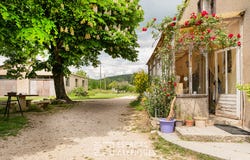 REVEST DES BROUSSES, Provence-Alpes-Côte d'Azur 04150