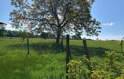 Mont-Saint-Jean, Picardie 02360
