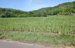 Auberives-en-Royans, Isère 38680