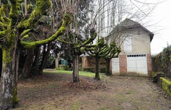 Aixe-sur-Vienne, Haute-Vienne 87700