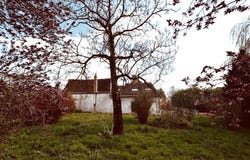 Montreal, Burgundy 89420