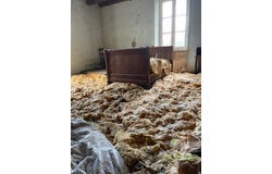 Grassac, Nouvelle-Aquitaine 16380