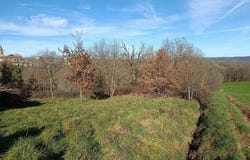 MIRANDOL BOURGNOUNAC, Midi-Pyrénées 81190