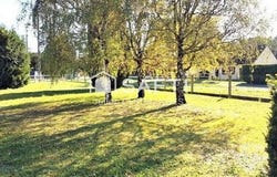 Lussault-Sur-Loire, Centre 37400