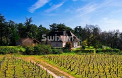 Givry, Burgundy 71640