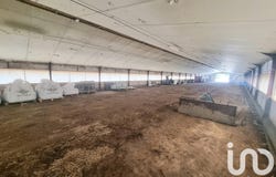 Chantonnay, Pays de la Loire 85110