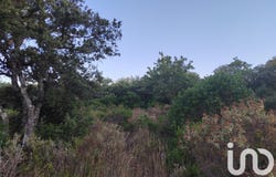 Lagarde-Paréol, Provence-Alpes-Côte d'Azur 84290