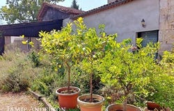 Astaffort, Aquitaine 47220