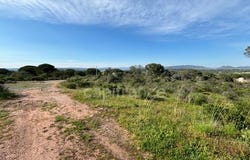ROQUEBRUNE SUR ARGENS, Provence-Alpes-Côte d'Azur 83520