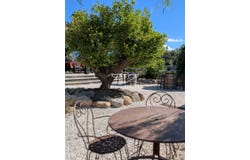 Saint-Chinian, Languedoc-Roussillon 34360