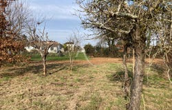 MOSNAC, Nouvelle-Aquitaine 17240