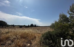 Rivesaltes, Occitanie 66600
