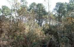 NIVILLAC, Bretagne 56130