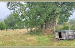 ST GERMAIN D ARCE, Pays de la Loire 72500