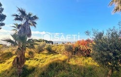 Bouzigues, Languedoc-Roussillon 34140
