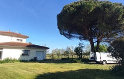 Chenac-Saint-Seurin-d'Uzet, Poitou-Charentes 17120