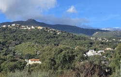 Borgo, Corsica 20290