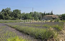 Taulignan, Auvergne-Rhône-Alpes 26770