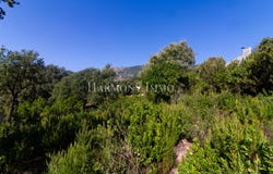 Tavaco, Corsica 20167