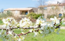 Viens, Provence-Alpes-Côte-d'Azur 84750