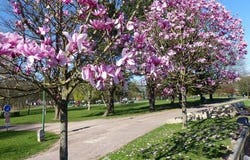 Bihorel, Haute-Normandie 76420