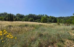Grignan, Rhône-Alpes 26230