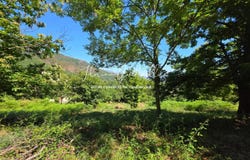 Santo-Pietro-di-Venaco, Haute-Corse 20250