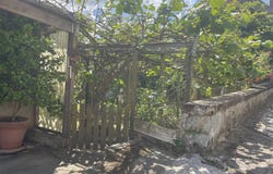 Noizay, Indre-et-Loire 37210