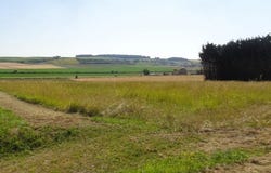 AVY, Poitou-Charentes 17800