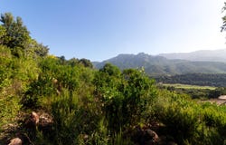 Tavaco, Corsica 20167