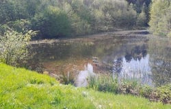 FAUCOGNEY-LA-MER, Franche-Comté 70310