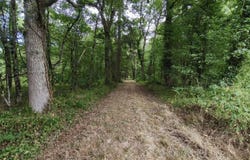 Romorantin-Lanthenay, Loir-et-Cher 41200