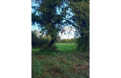 Saint-Just, Bretagne 35550