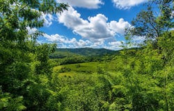 Roquebrun, Languedoc-Roussillon 34460