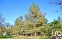 LE BLANC, Centre-Val de Loire 36300