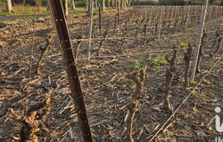 Usclas-d'Hérault, Occitanie 34230