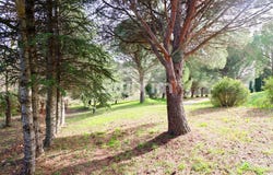 La Garde-Adhémar, Rhône-Alpes 26700