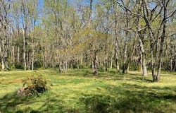 Bazas, Aquitaine 33430