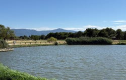Saint-Cyprien, Languedoc-Roussillon 66750