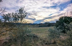Montfort-sur-Argens, Var 83570
