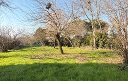 Lavalette, Haute-Garonne 31590