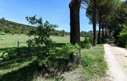 Uzès, Languedoc-Roussillon 30700