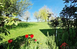 Guyonvelle, Grand Est 52400