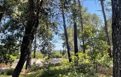 Castelnau-le-Lez, Languedoc-Roussillon 34170