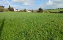 Pouillé-les-Côteaux, Pays de la Loire 44522