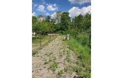 Mussy-Sur-Seine, Champagne-Ardenne 10250